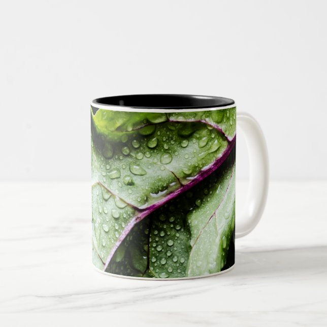 Taza Bicolor Frutas saludables (Anverso derecho)