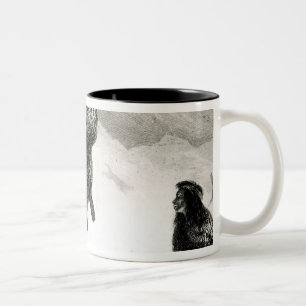 Taza Bicolor Fuegians que va a negociar en Zapallos