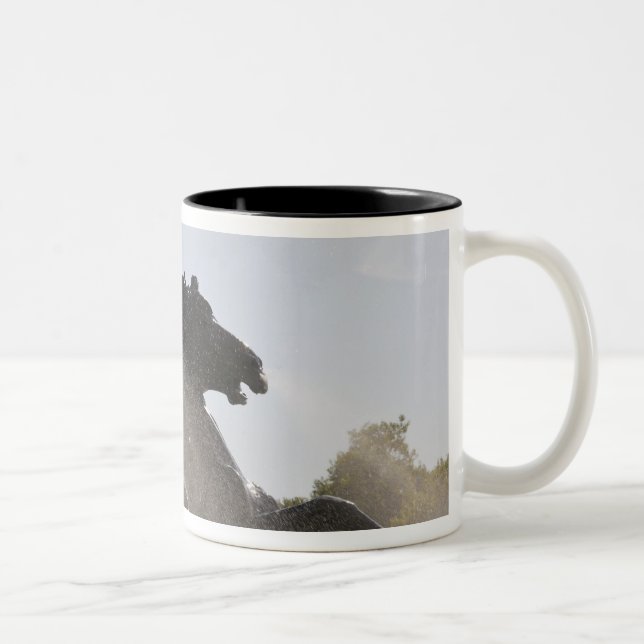 Taza Bicolor Fuente, Monumento a los Girondinos, Burdeos, (Derecha)