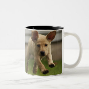 Taza Bicolor Funcionamiento amarillo de los perritos de