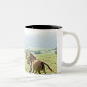 Taza Bicolor Funcionamiento de los caballos