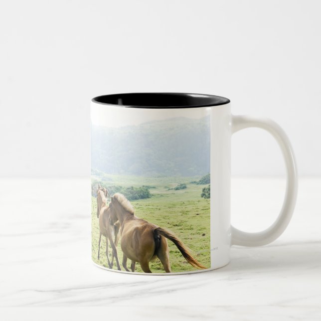 Taza Bicolor Funcionamiento de los caballos (Derecha)