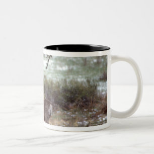 Taza Bicolor Funcionamiento de los ciervos