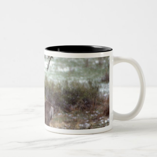 Taza Bicolor Funcionamiento de los ciervos (Derecha)