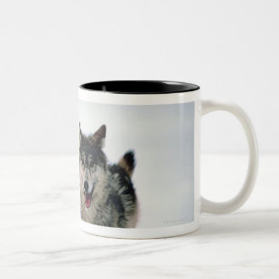 Taza Bicolor Funcionamiento del lobo gris