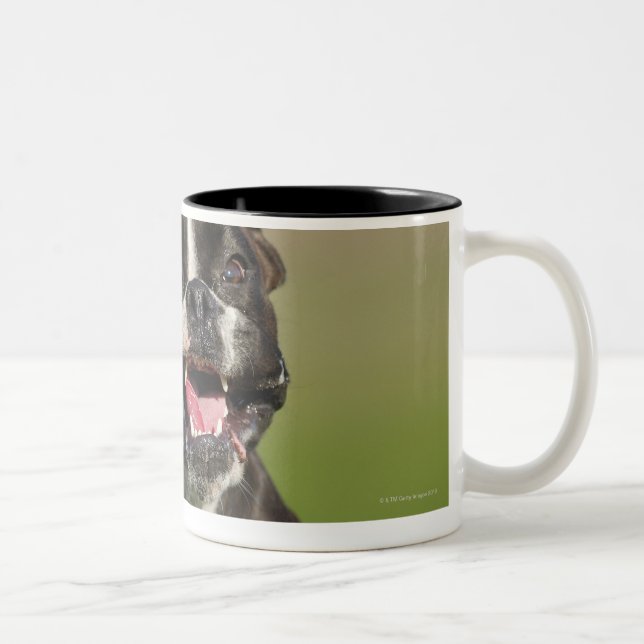 Taza Bicolor Funcionamiento del perro (Derecha)