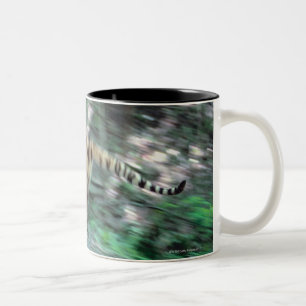 Taza Bicolor Funcionamiento del tigre