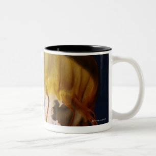 Taza Bicolor Fuscescens del Chrysaora, ortiga pacífica del mar