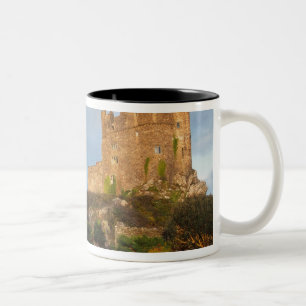Taza Bicolor Gales - Un castillo galés privado cerca de St.