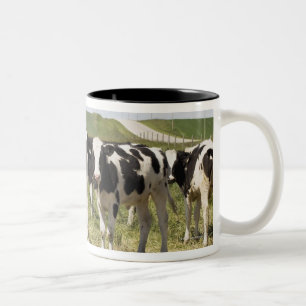 Taza Bicolor Ganados lecheros jovenes en pasto