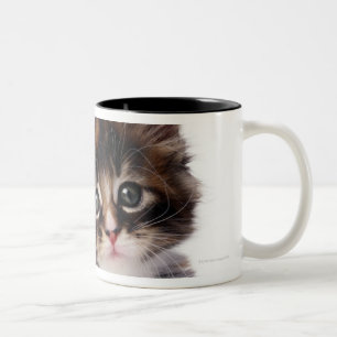 Taza Bicolor Gatito