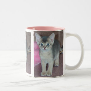 Taza Bicolor Gatito abisinio seis semanas de viejo