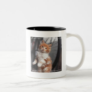 Taza Bicolor Gatito anaranjado del Tabby