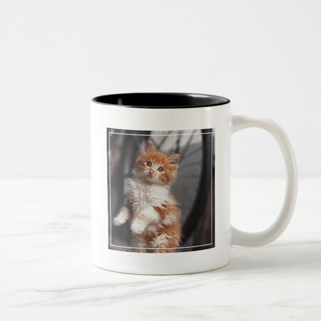 Taza Bicolor Gatito anaranjado del Tabby (Derecha)