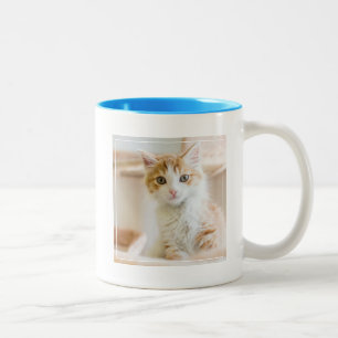Taza Bicolor Gatito anaranjado y blanco