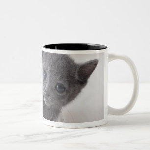 Taza Bicolor Gatito azul ruso