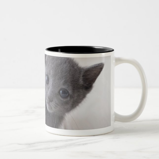 Taza Bicolor Gatito azul ruso (Derecha)