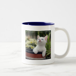 Taza Bicolor Gatito blanco turco