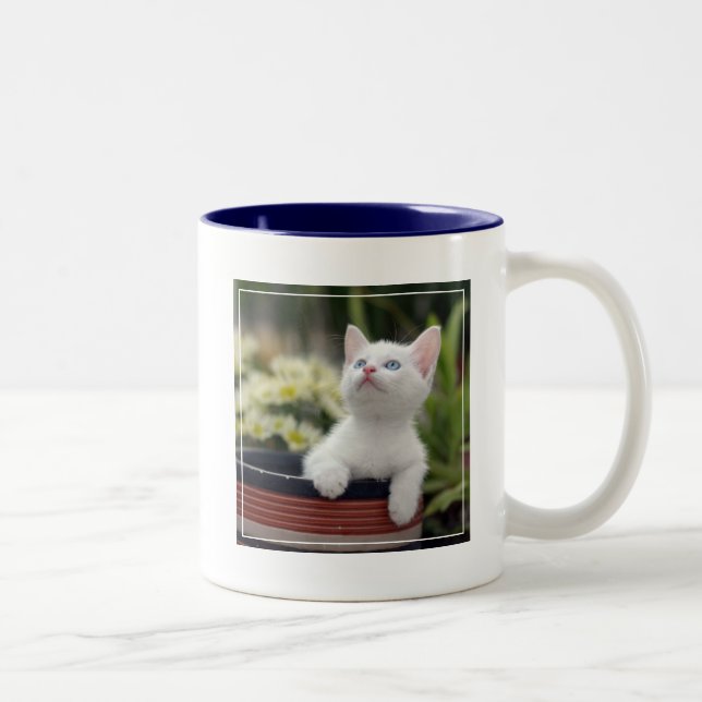 Taza Bicolor Gatito blanco turco (Derecha)