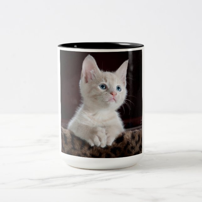 Taza Bicolor Gatito blanco vulnerable (Centro)