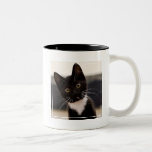 Taza Bicolor Gatito blanco y negro lindo del smoking