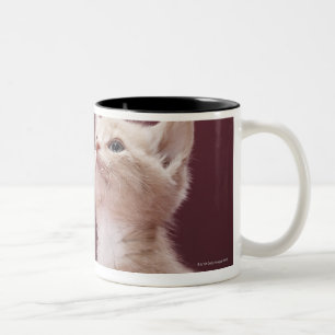 Taza Bicolor Gatito con las barbas