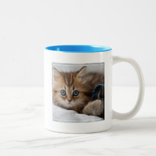 Taza Bicolor Gatito con los ojos azules