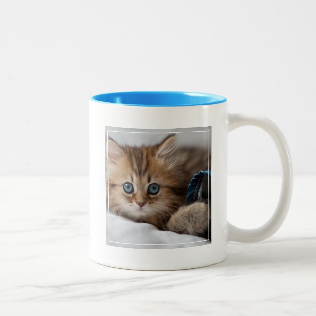 Taza Bicolor Gatito con los ojos azules (Derecha)