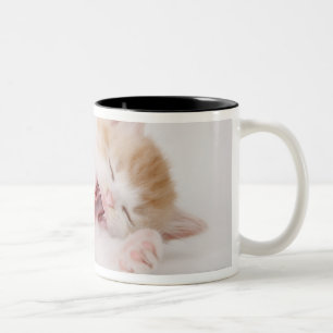 Taza Bicolor Gatito de bostezo en el fondo blanco