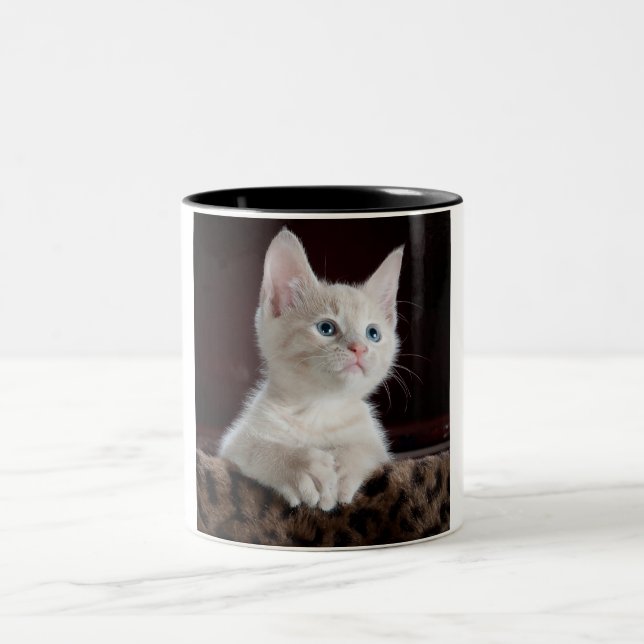 Taza Bicolor Gatito de café de dos tonadas. (Centro)