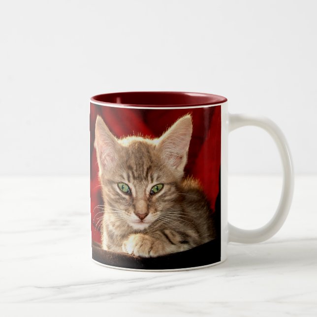 Taza Bicolor Gatito de Hemingway (Derecha)