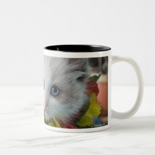 Taza Bicolor Gatito de la muñeca de trapo y vacaciones de