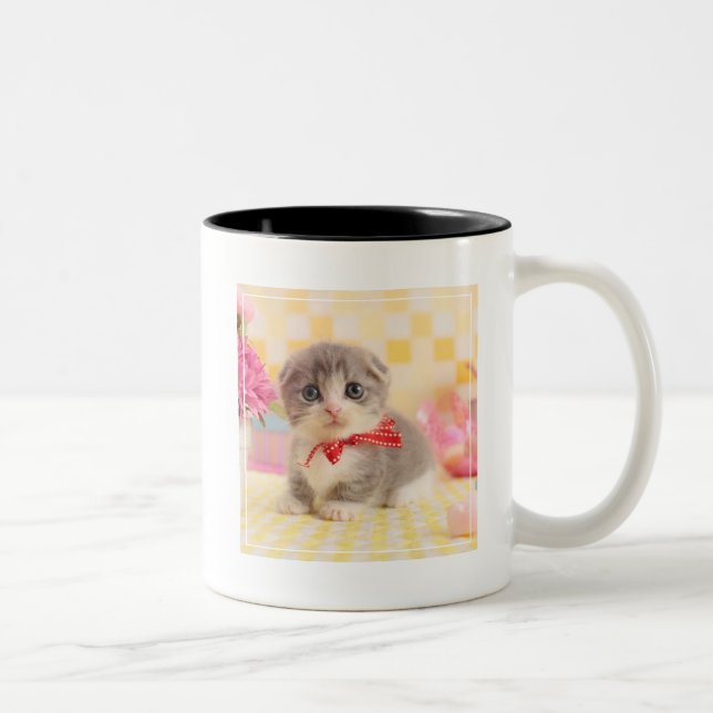 Taza Bicolor Gatito de Munchkin (Derecha)