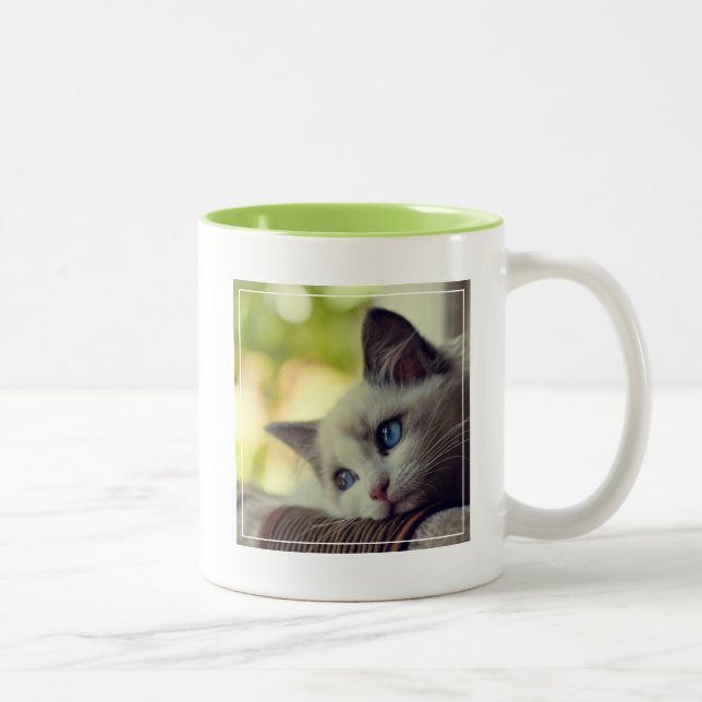 Taza Bicolor Gatito de Ragdoll (Derecha)