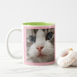 Taza Bicolor Gatito de Ragdoll