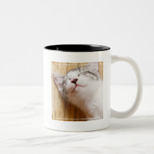 Taza Bicolor Gatito el dormir