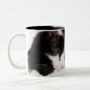 Taza Bicolor Gatito el dormir