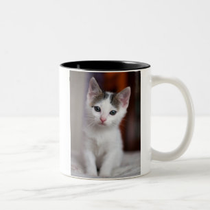 Taza Bicolor Gatito manchado blanco