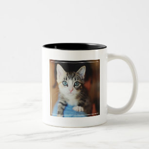 Taza Bicolor Gatito observado azul brillante