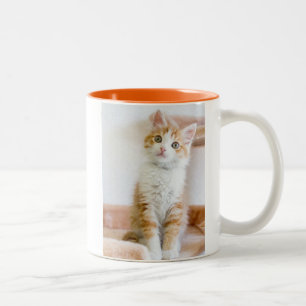 Taza Bicolor Gatito observado azul dulce
