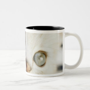 Taza Bicolor Gatito, primer 2