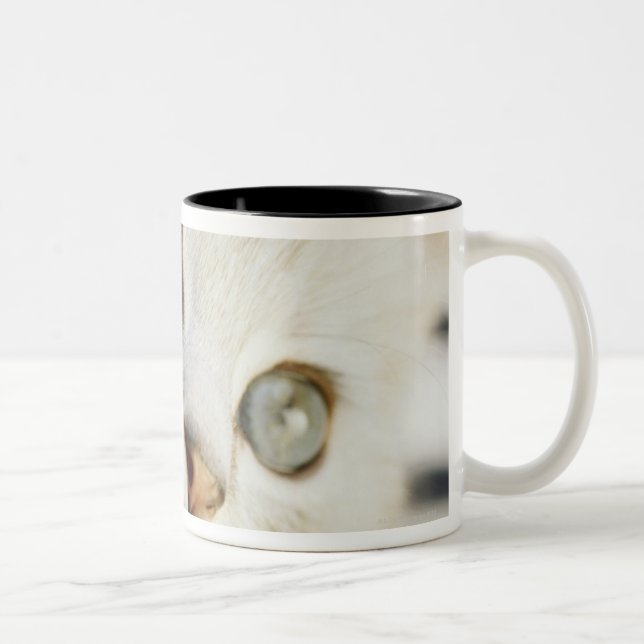 Taza Bicolor Gatito, primer 2 (Derecha)