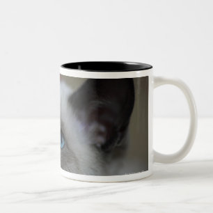 Taza Bicolor Gatito siamés