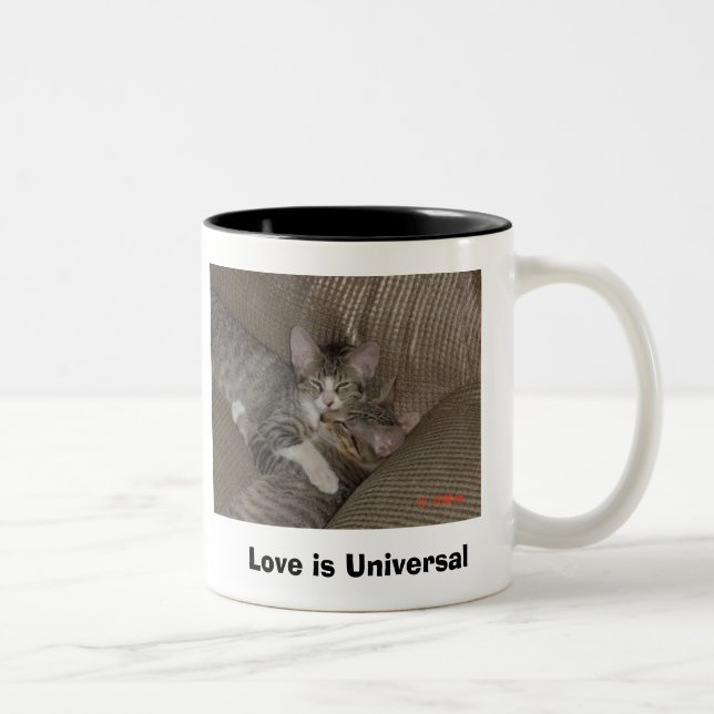 Taza Bicolor Gatitos (Derecha)
