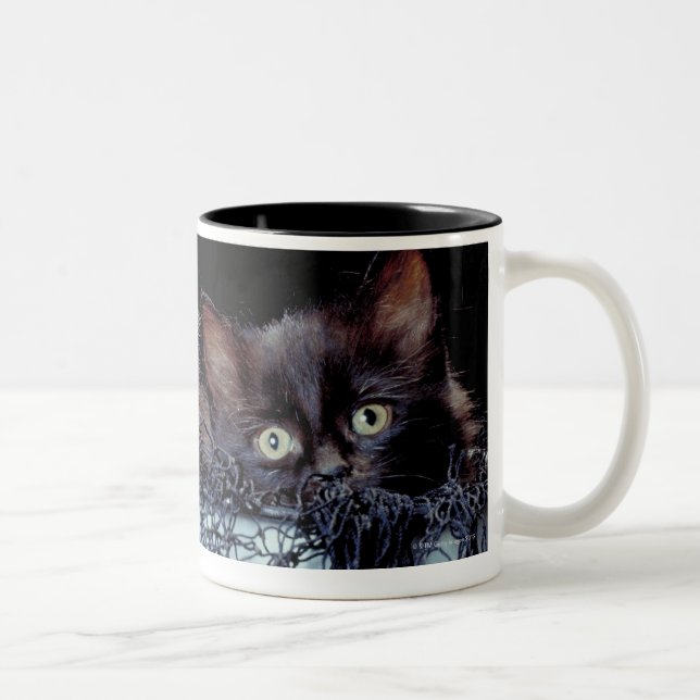 Taza Bicolor Gatitos en envase (Derecha)