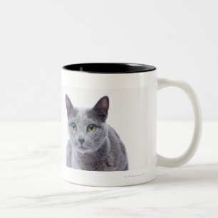Taza Bicolor Gato azul ruso