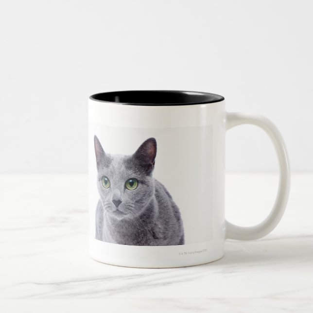 Taza Bicolor Gato azul ruso (Derecha)
