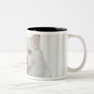 Taza Bicolor Gato blanco con las plumas