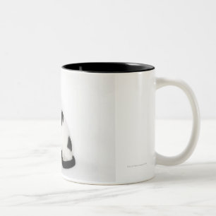 Taza Bicolor Gato blanco con los puntos negros