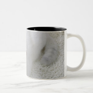Taza Bicolor Gato blanco que mira para arriba